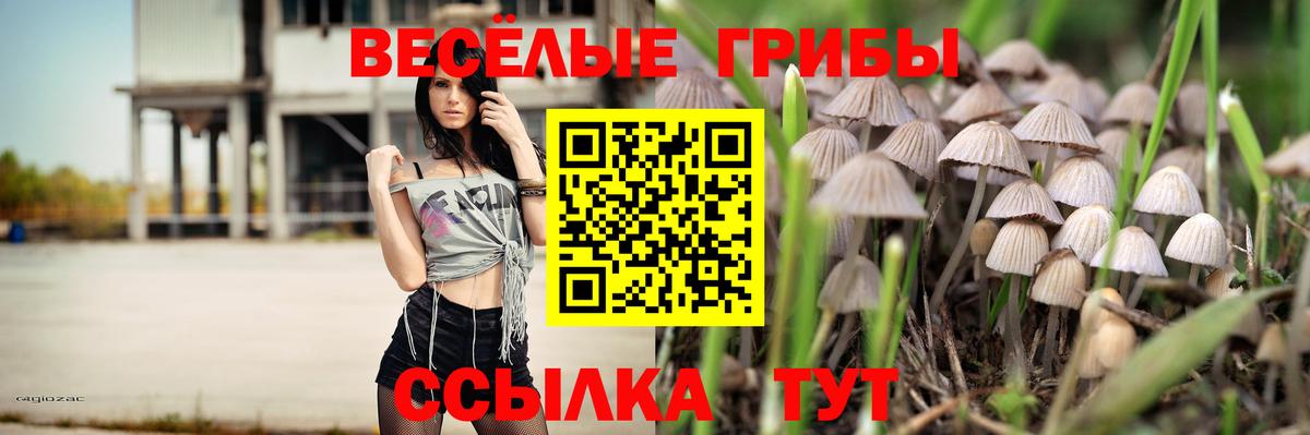 Ишимбай  Галлюциногенные грибы Psilocybine cubensis  Галлюциногенные грибы GOLDEN TEACHER  Вход с VPN 